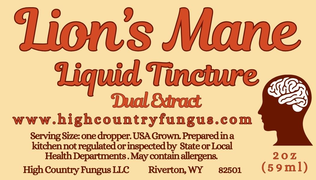 Lion's Mane Liquid Tincture
