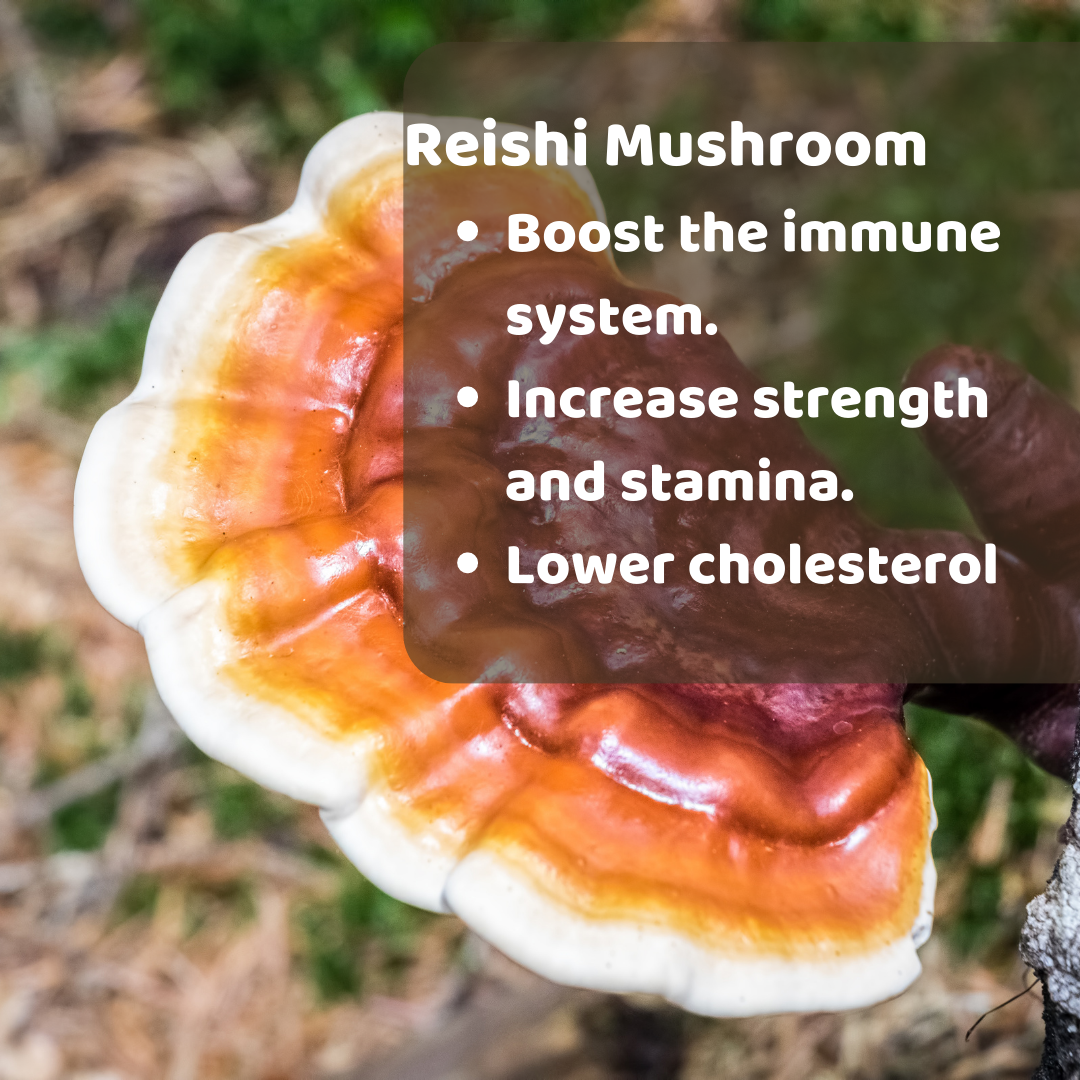High Five Mushroom Mix