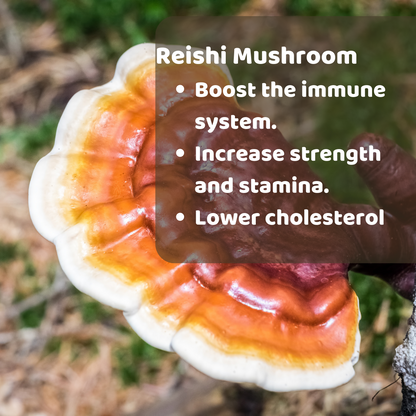 High Five Mushroom Mix