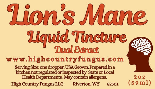 Lion's Mane Liquid Tincture