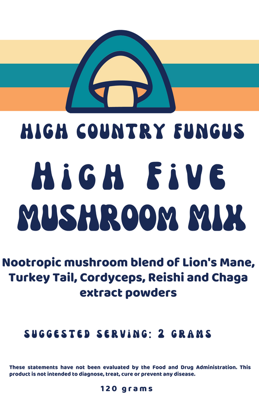 Nootropic mushroom blend of Lion's Mane, Turkey Tail, Cordyceps, Reishi and Chaga extract powders